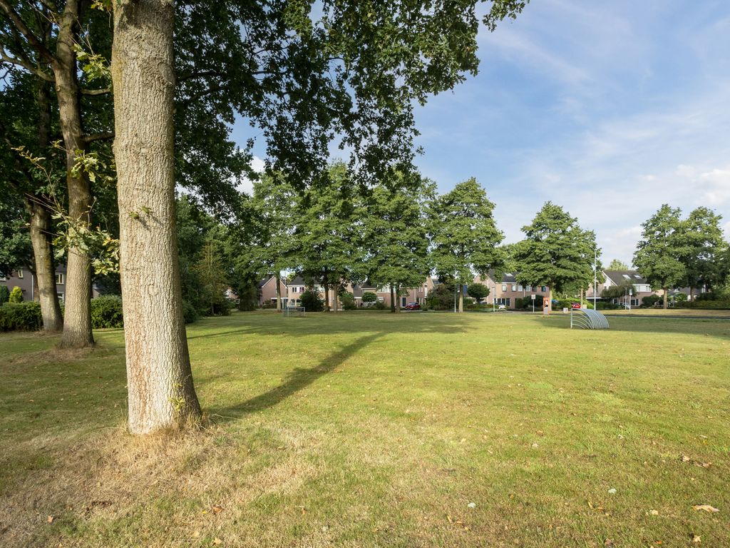 Markedreef 151, ASSEN