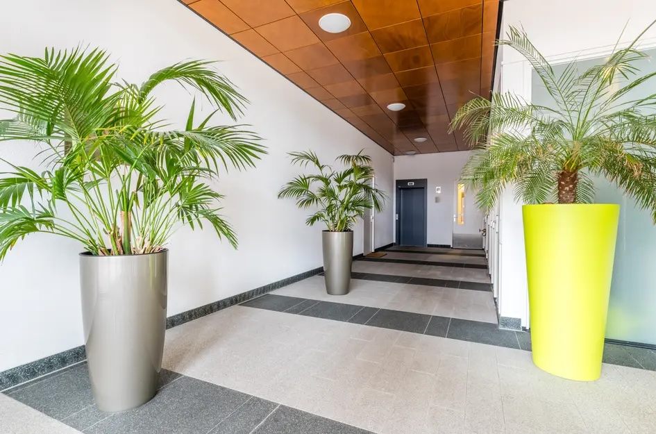 wat is appartementsrecht
