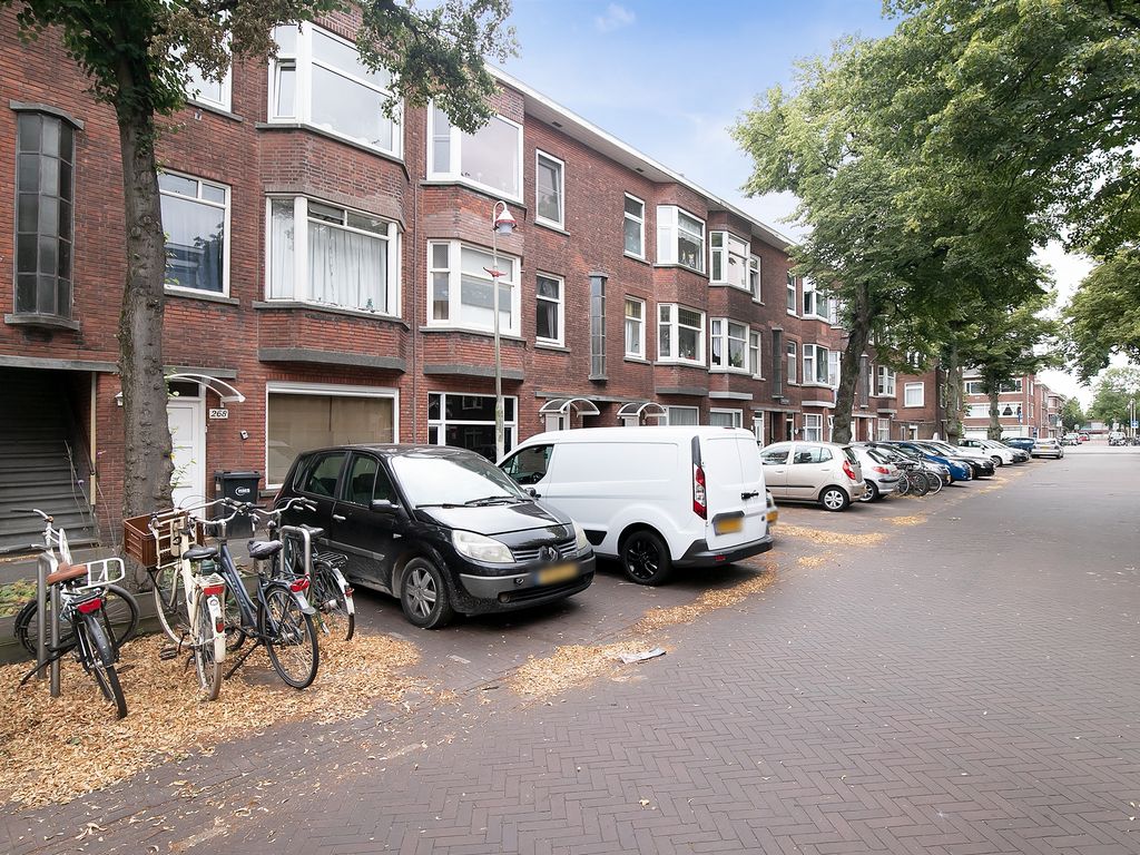 Linnaeusstraat 264, Den Haag