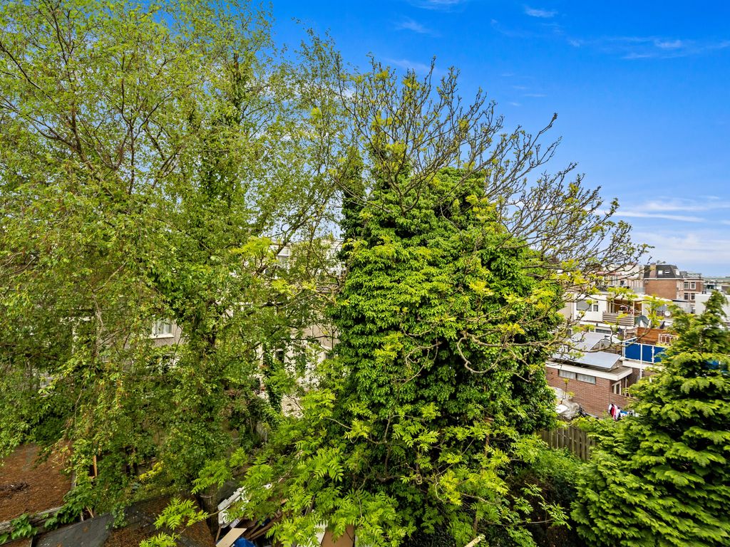 Rijswijkseweg 267, Den Haag