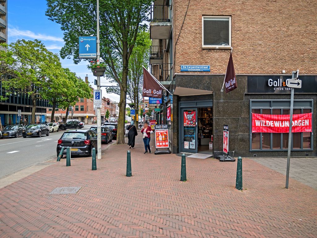 Theresiastraat 167, Den Haag