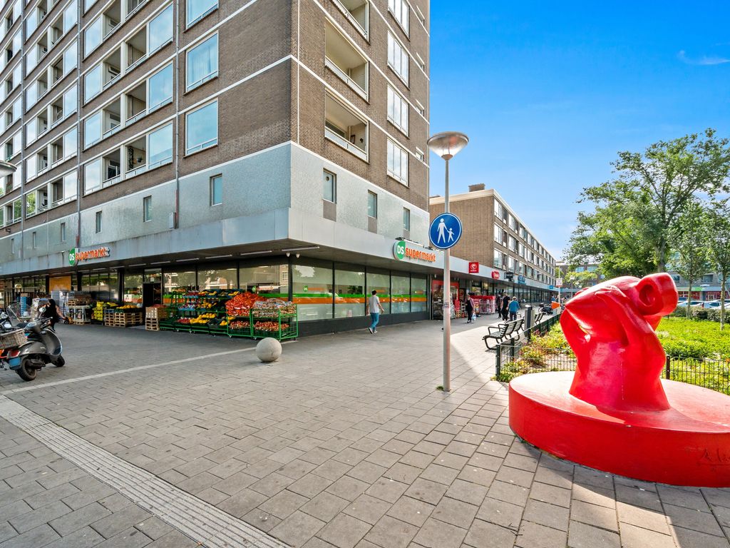 Hengelolaan 681, Den Haag