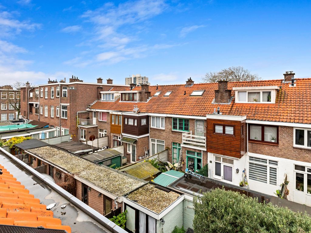 Rodenbachstraat 29, Den Haag