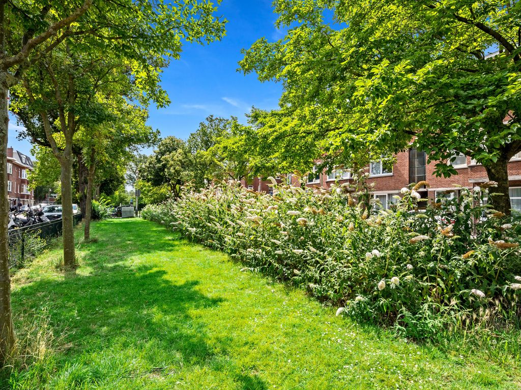 Elise van Calcarstraat 49, Den Haag