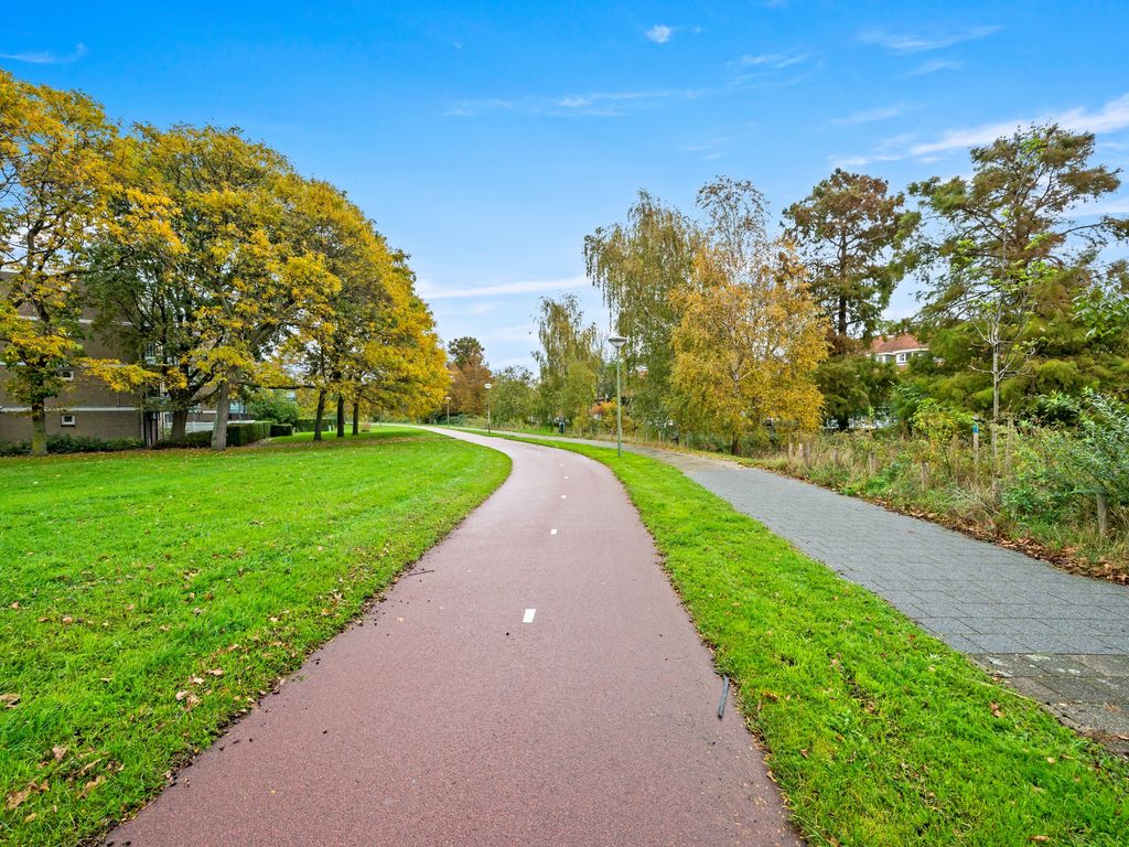 Van Oosterwijk Bruynstraat 1M, Den Haag