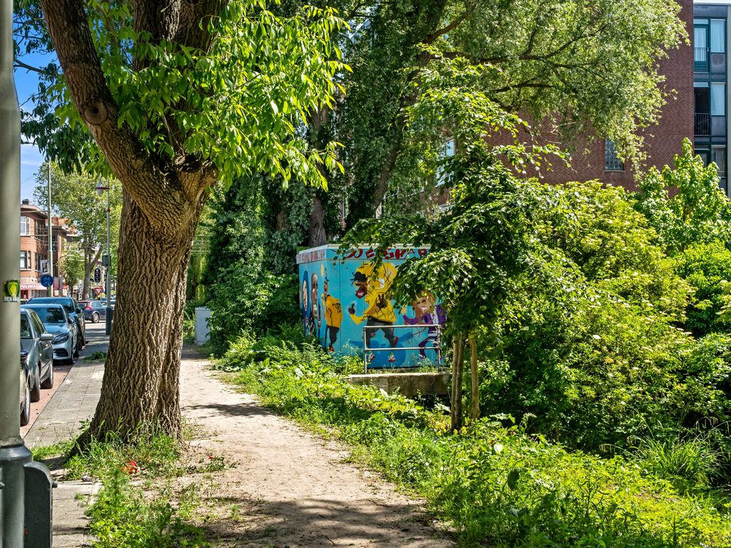 Paets van Troostwijkstraat 11, Den Haag