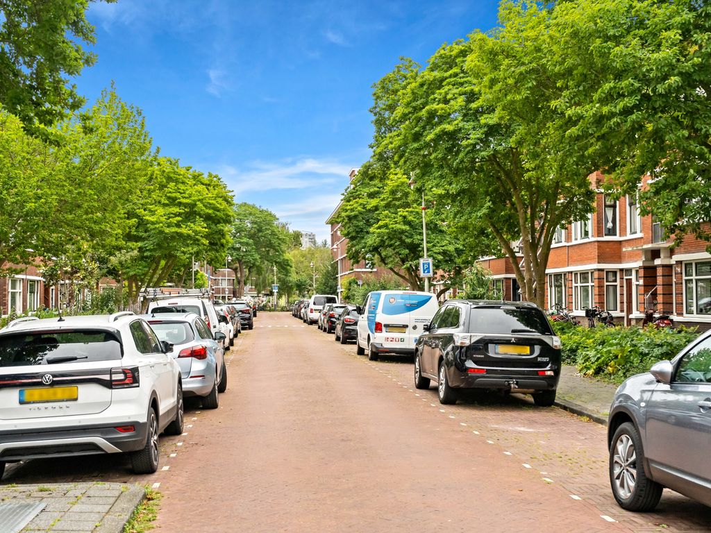 Abrikozenstraat 118A, Den Haag