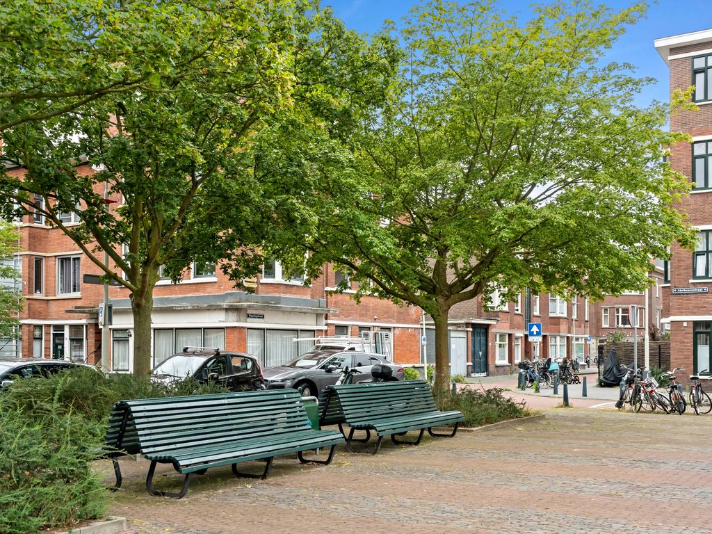 Abrikozenstraat 118A, Den Haag