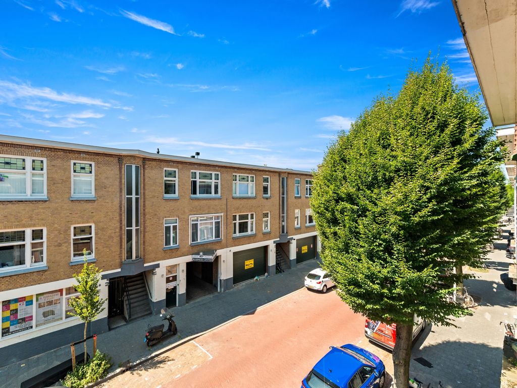 Pasteurstraat 230, Den Haag