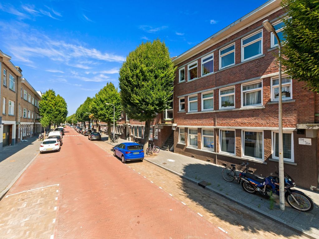 Pasteurstraat 230, Den Haag