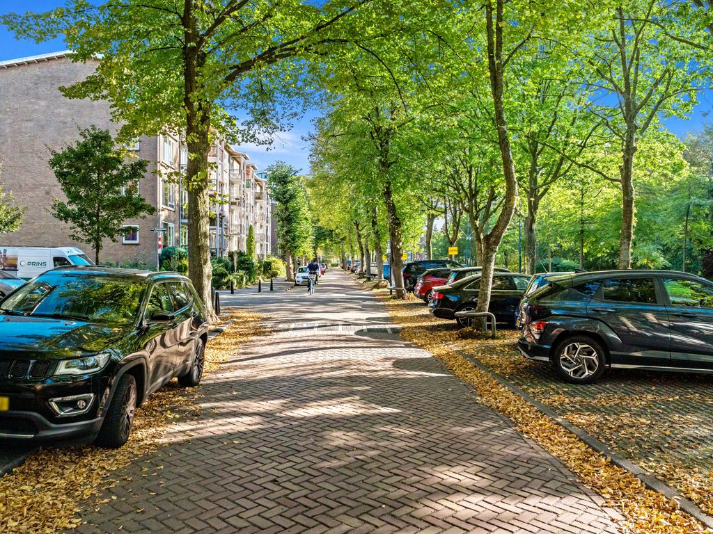 Burgemeester Elsenlaan 113, Rijswijk