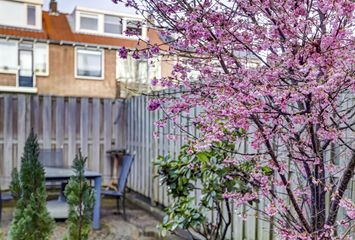 Stoop van Zwijndrechtstraat 7, ZWIJNDRECHT