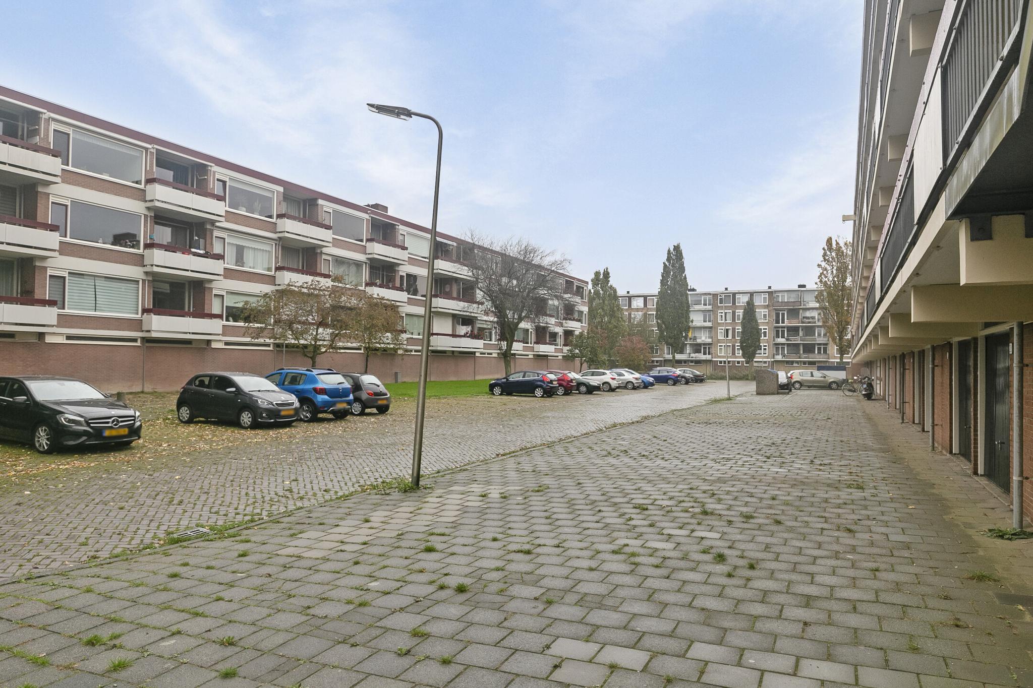 Chrysantstraat 86