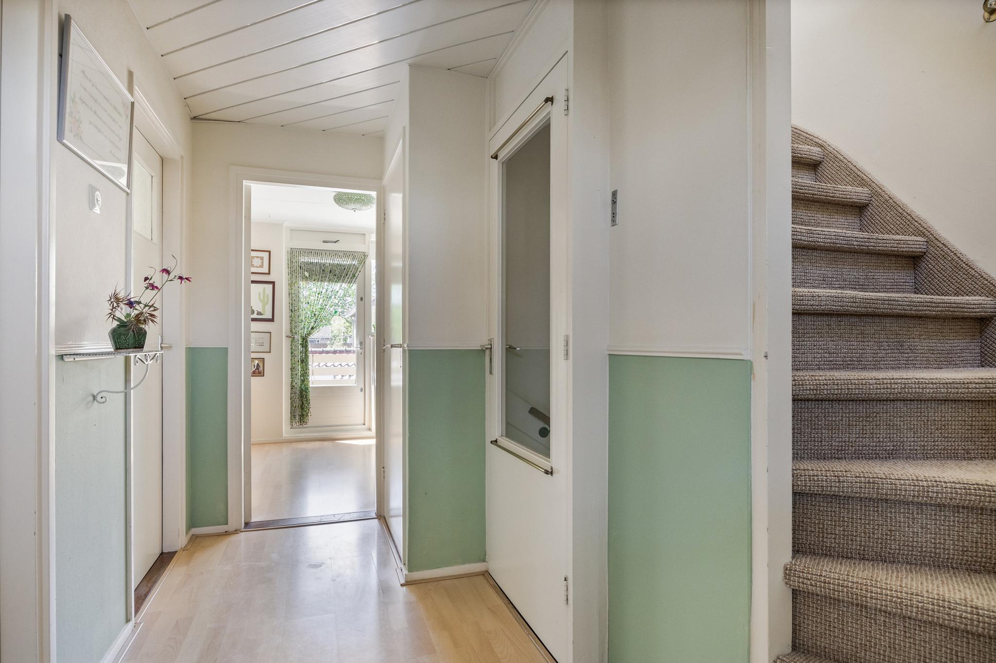 Opvliet 4
