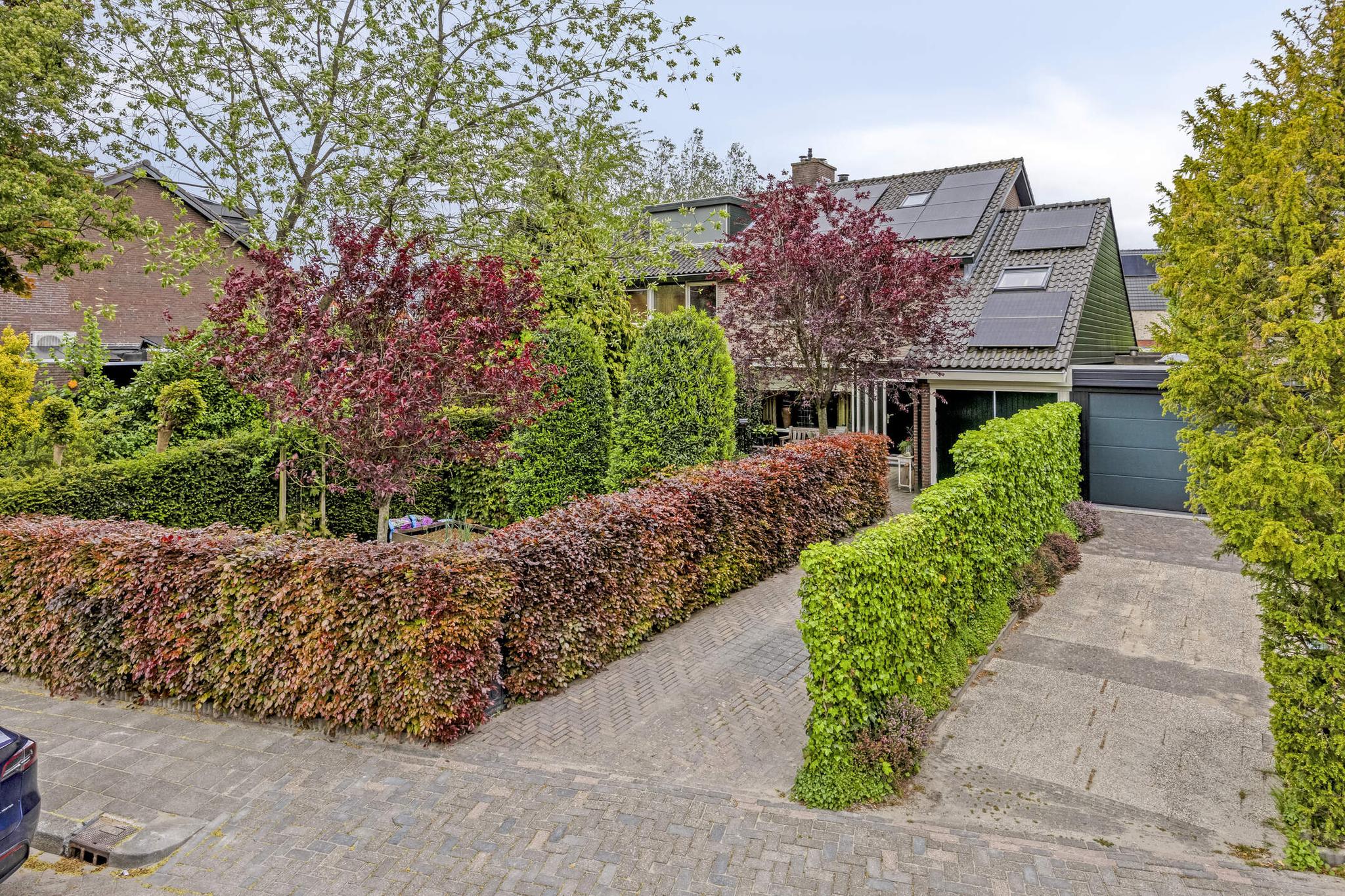 Van Renesseborch 16