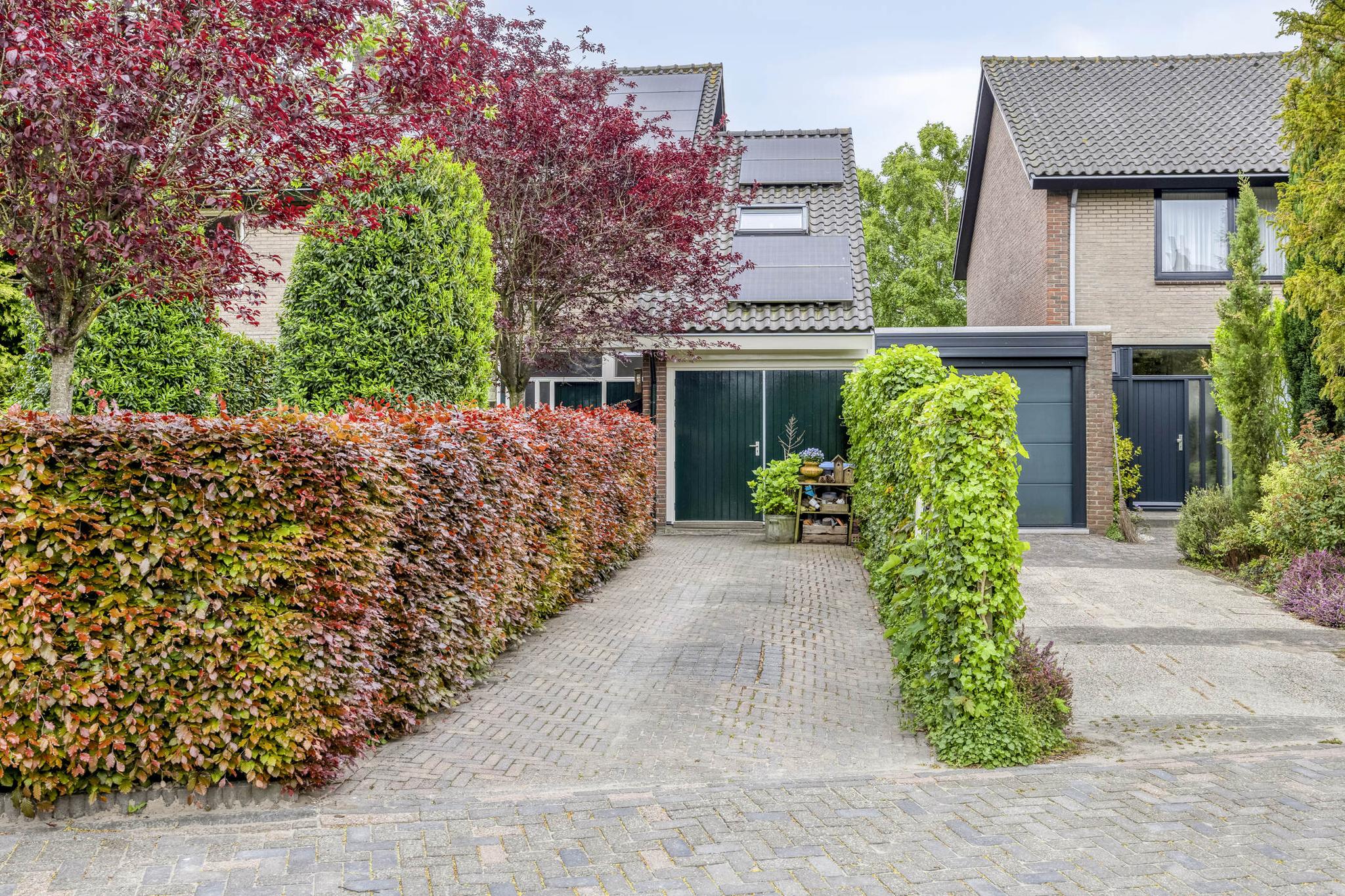 Van Renesseborch 16