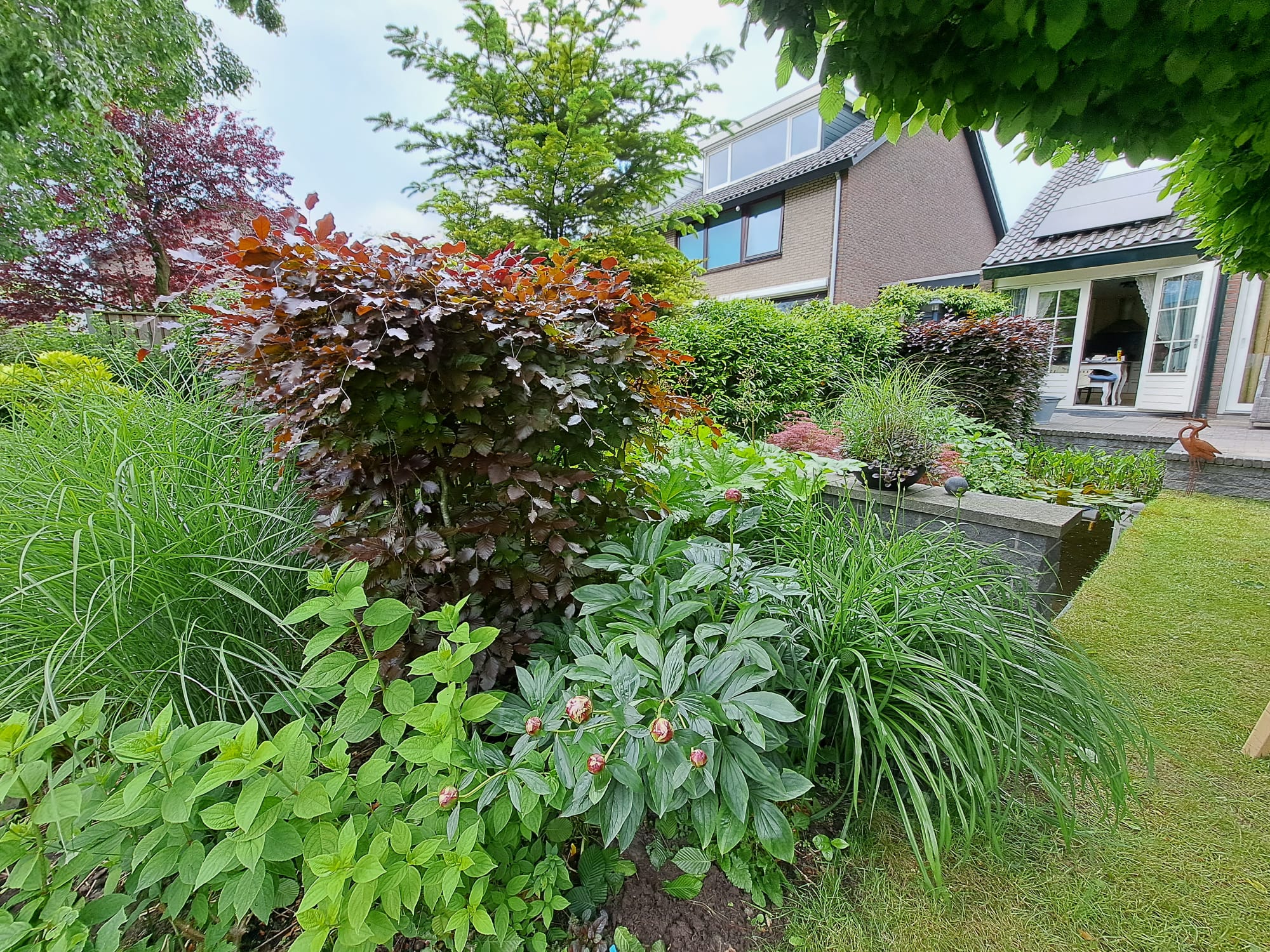 Van Renesseborch 16