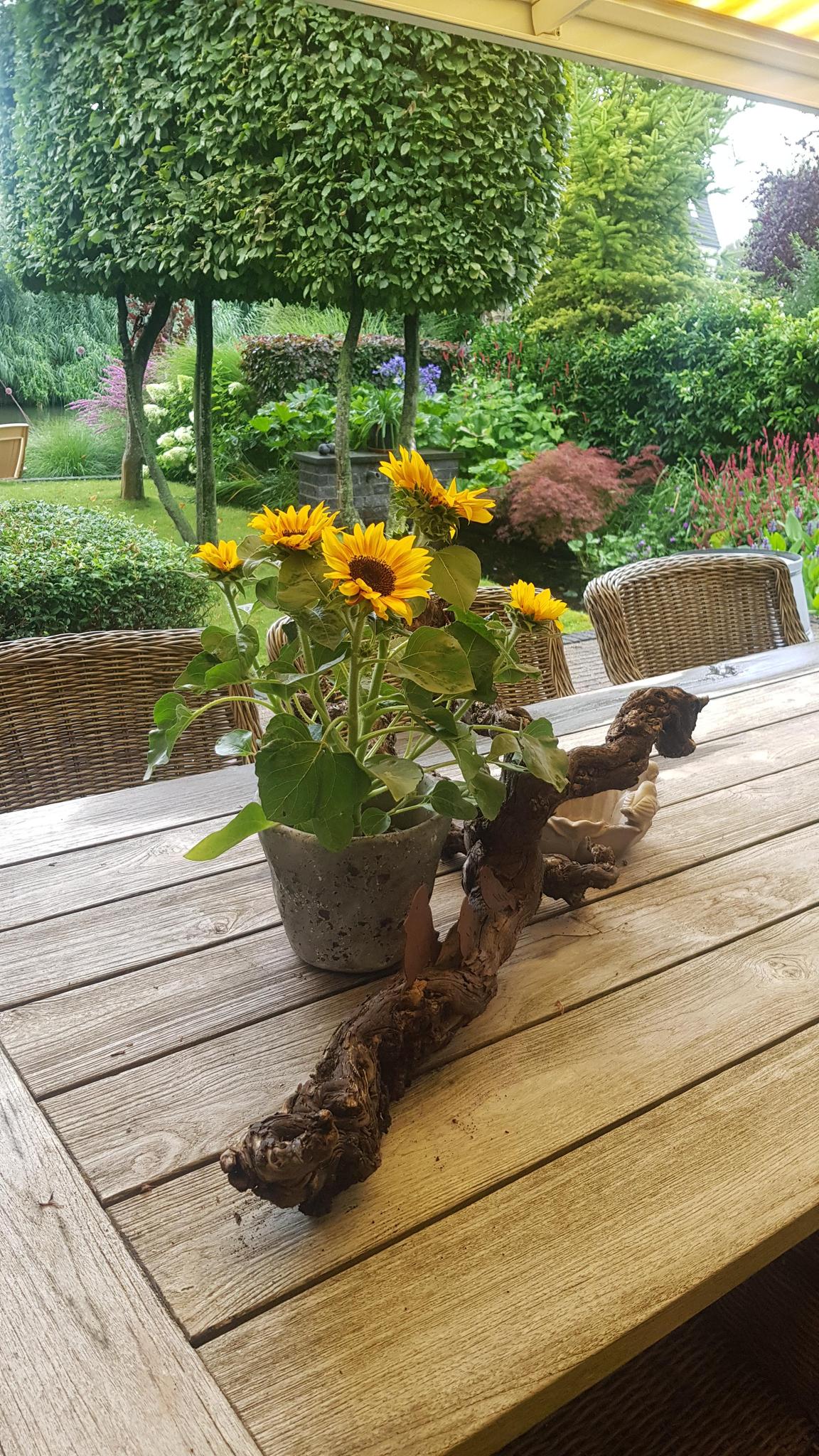 Van Renesseborch 16