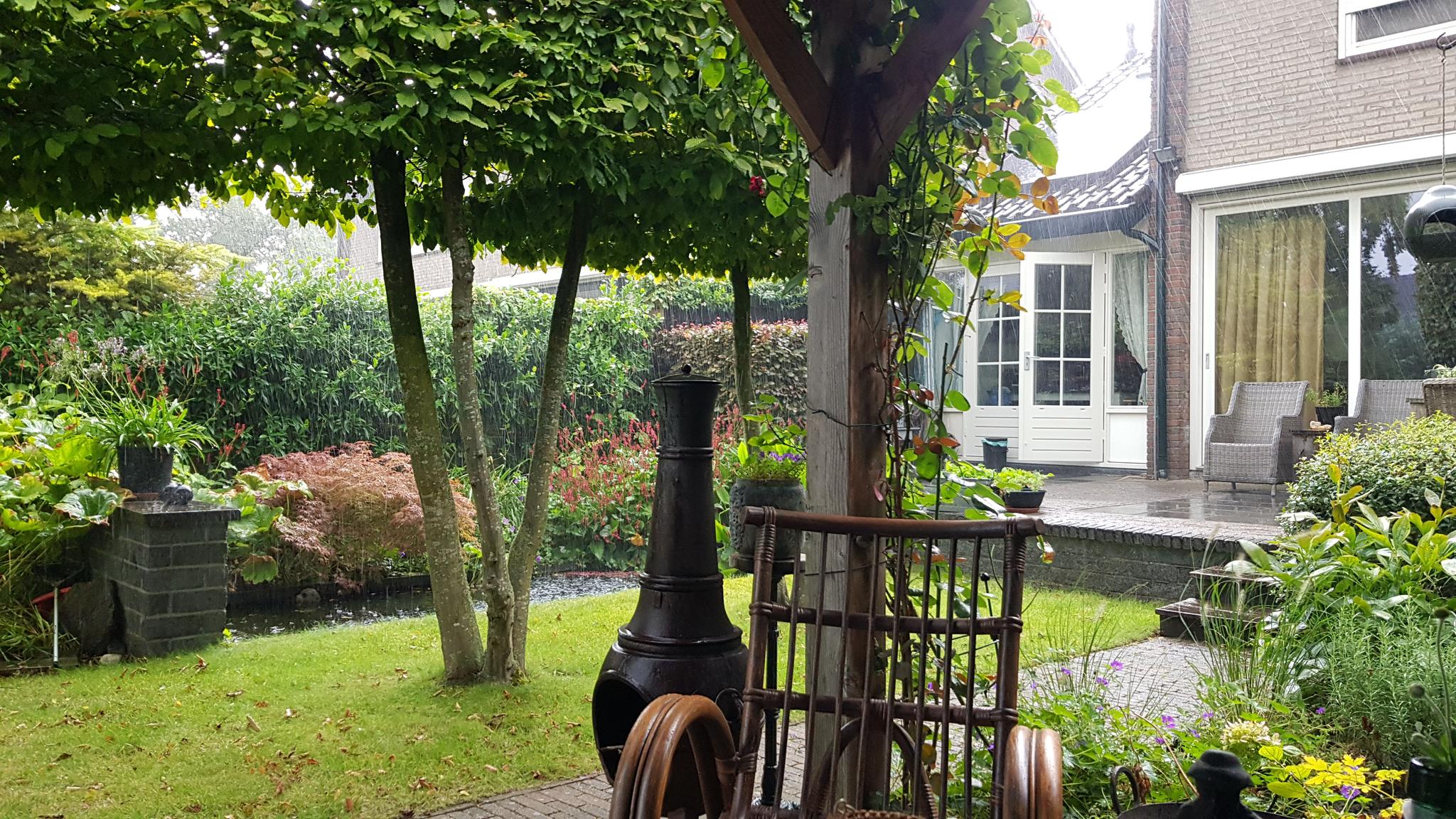 Van Renesseborch 16