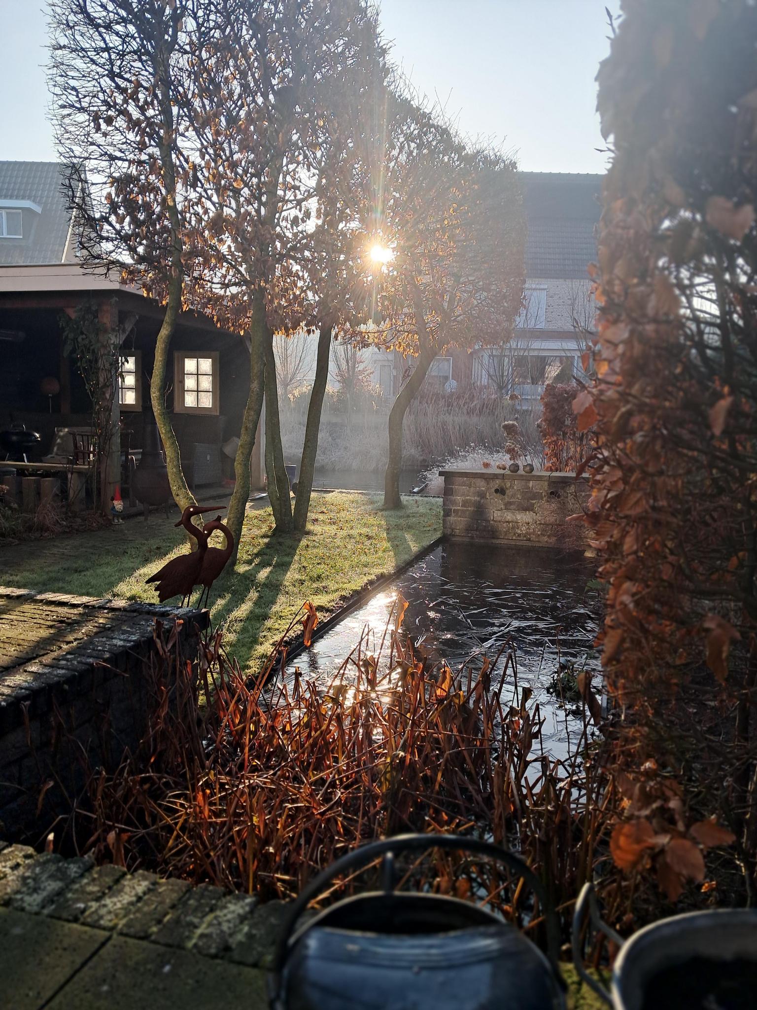 Van Renesseborch 16