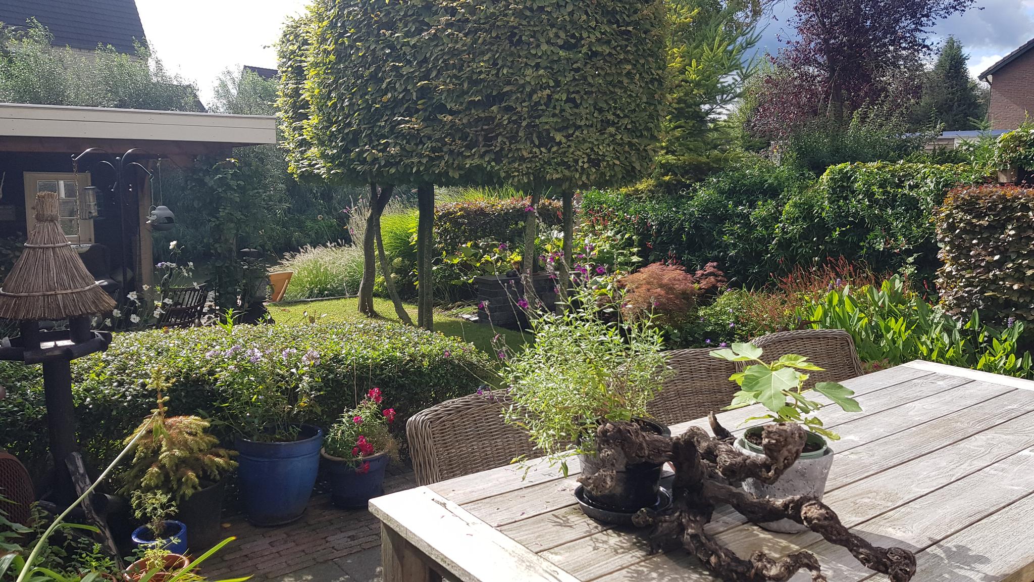 Van Renesseborch 16