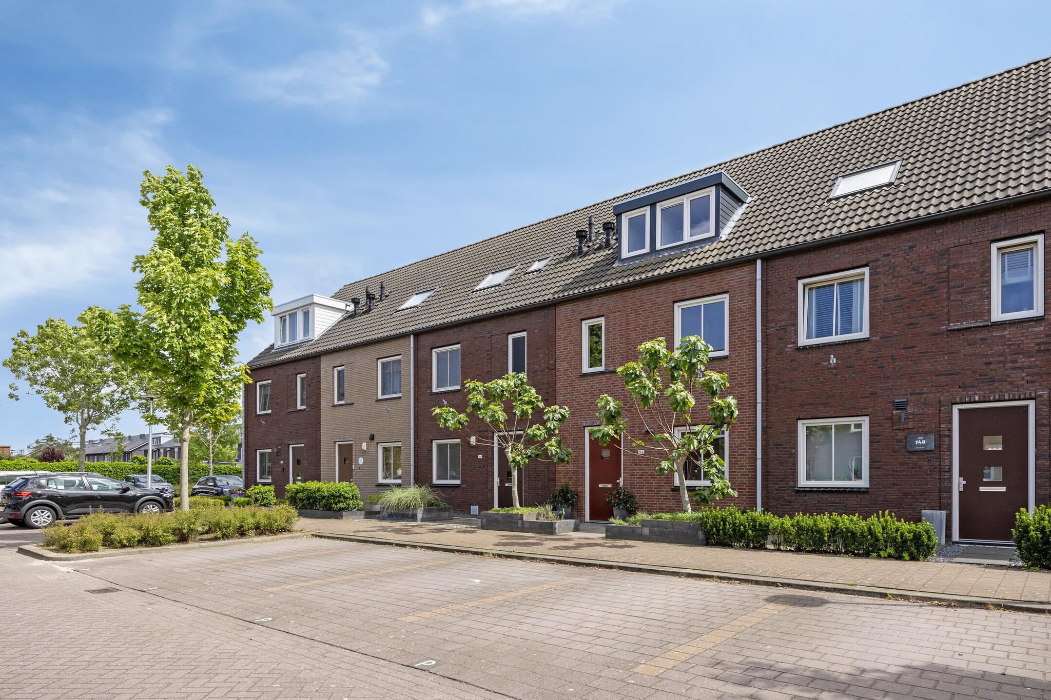 Steur 146