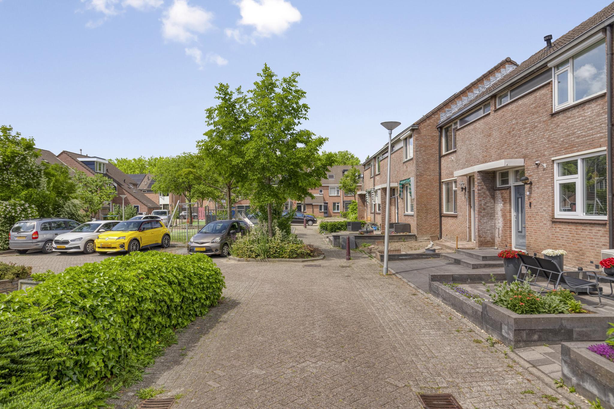 De Panneboeter 55
