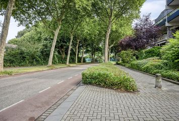 Doornenburg 29, DORDRECHT