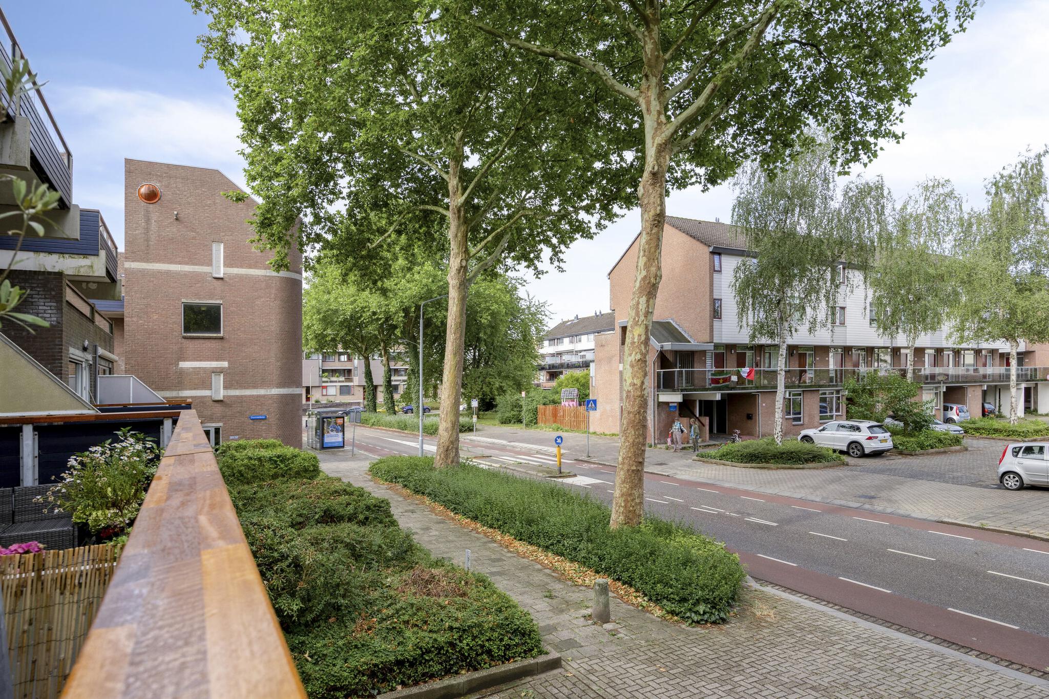 Doornenburg 29