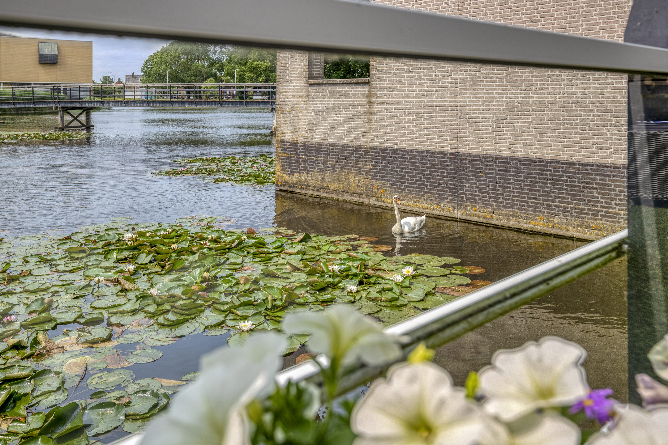 P.C. Hooftsingel 66