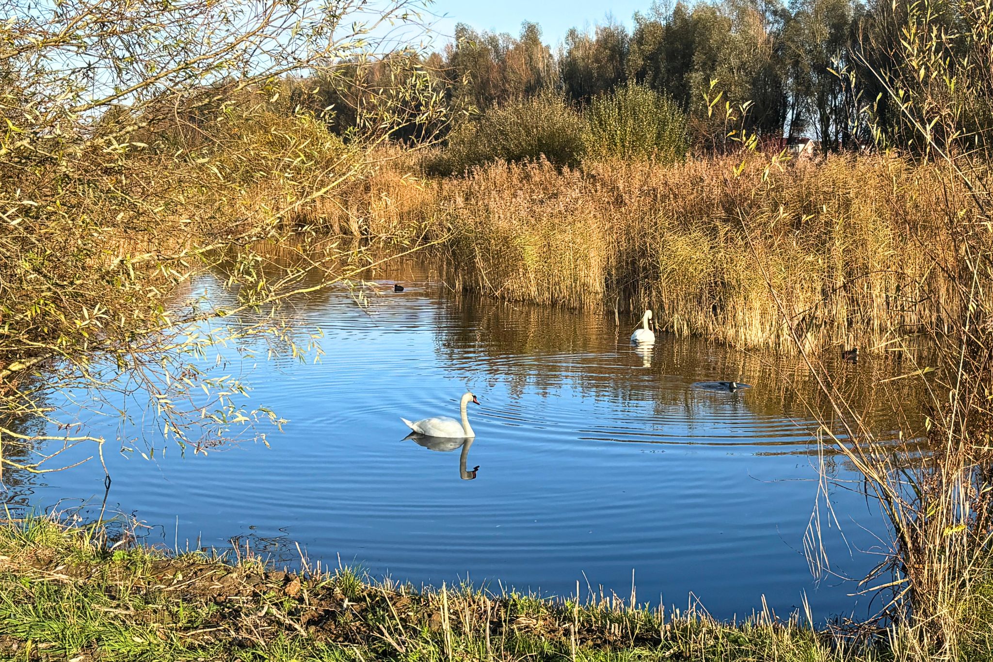 Gerrit Hendrixlaan 21
