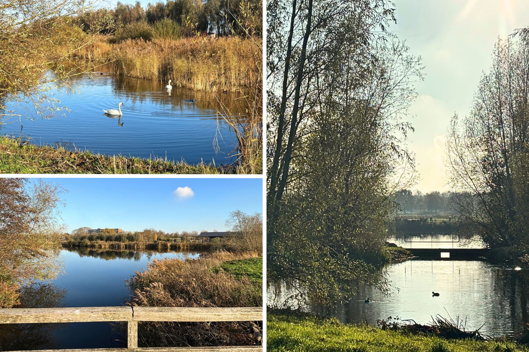 Gerrit Hendrixlaan 21