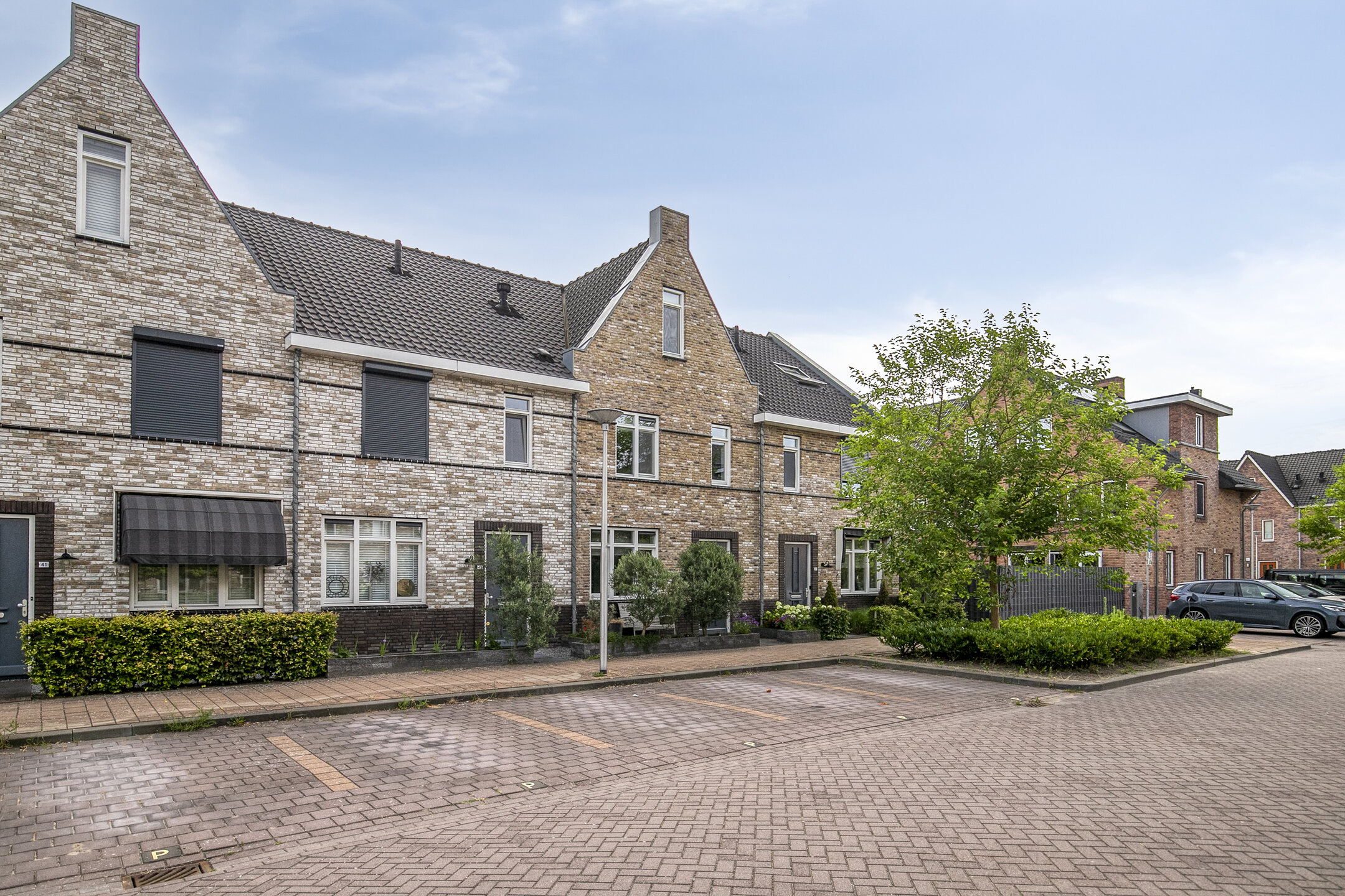 Aalscholver 45