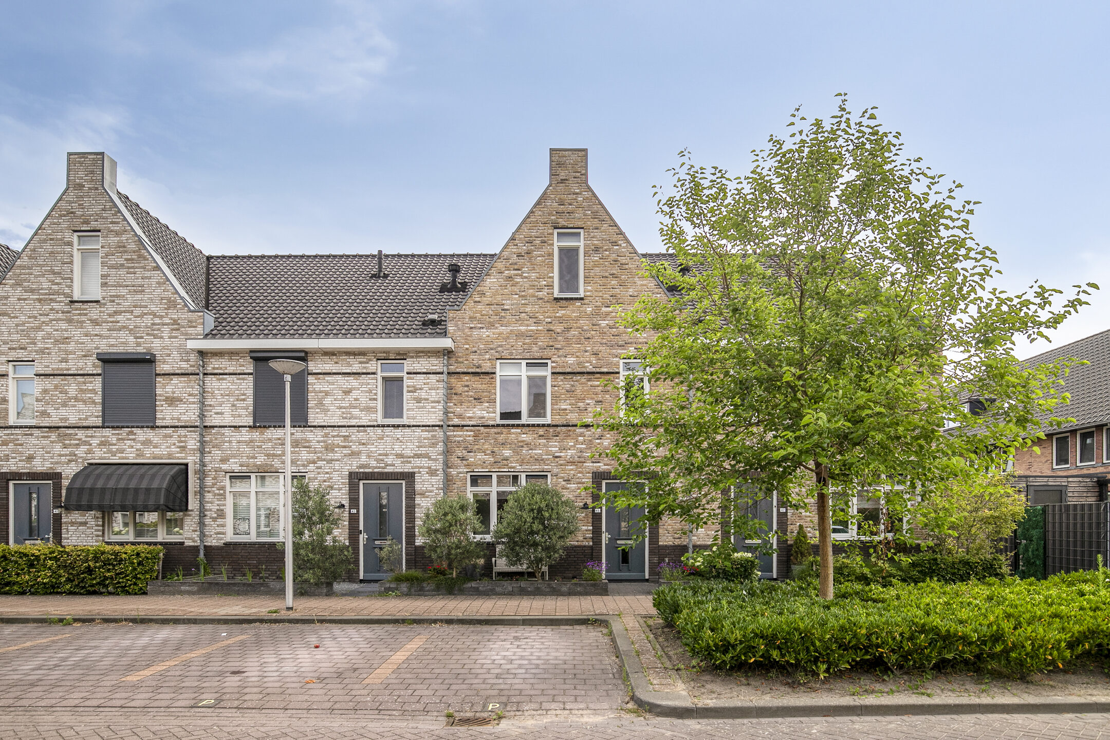 Aalscholver 45