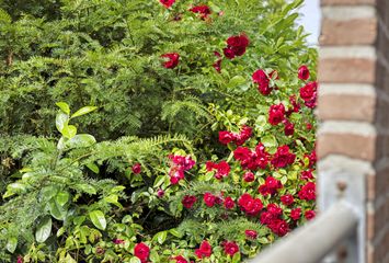 Monnen-bogerd 7, HENDRIK-IDO-AMBACHT