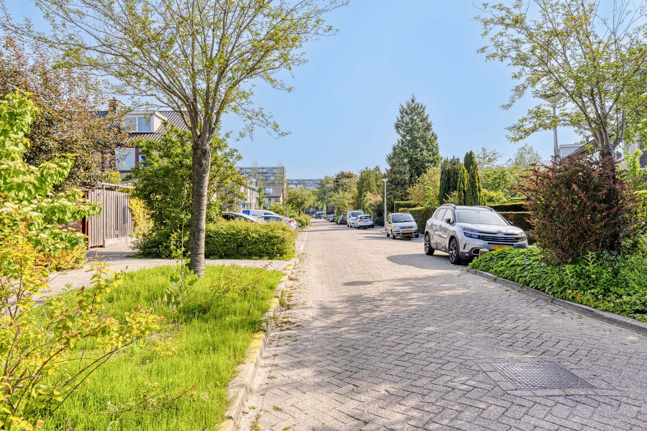 Van Renesseborch 31