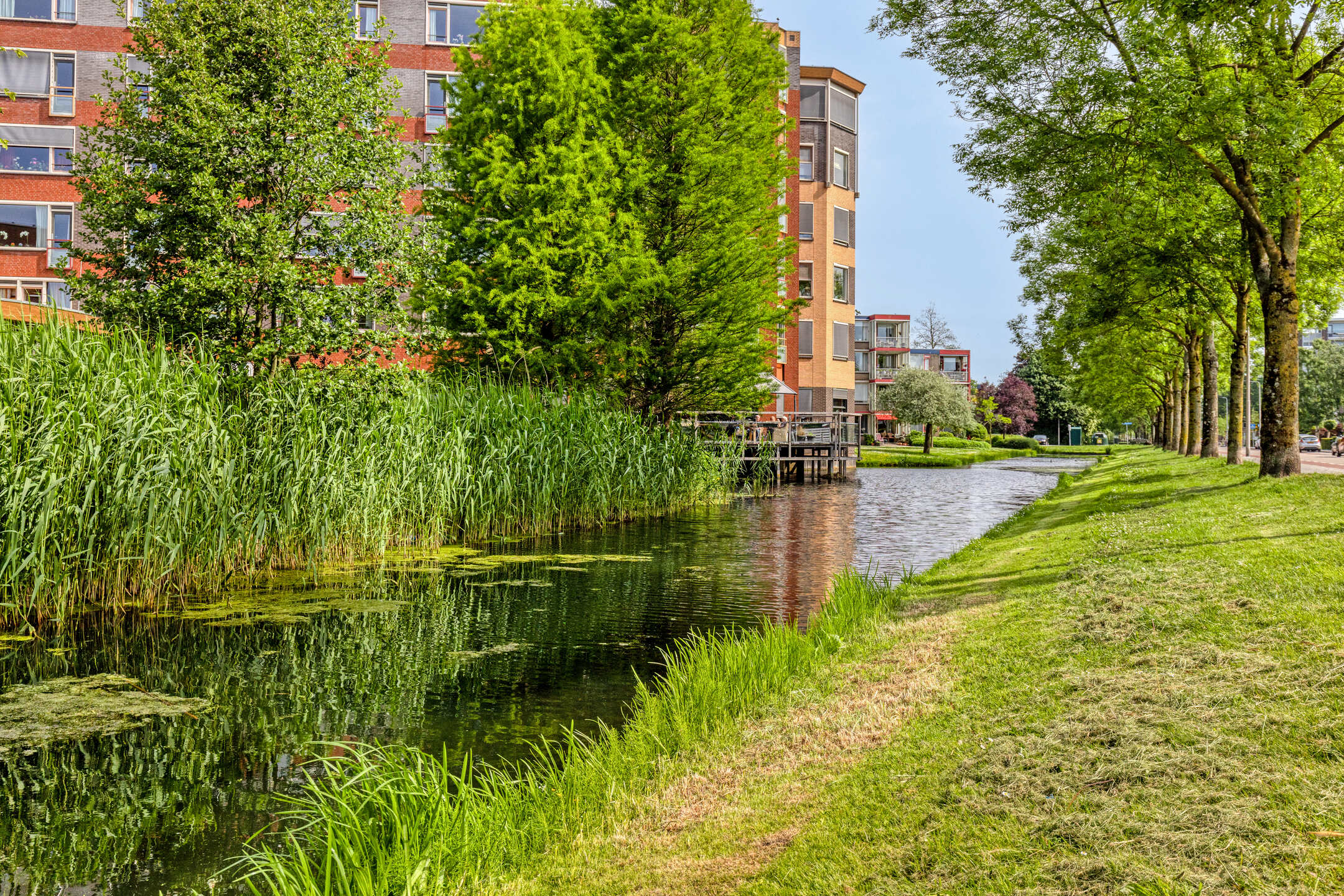 Van Renesseborch 31