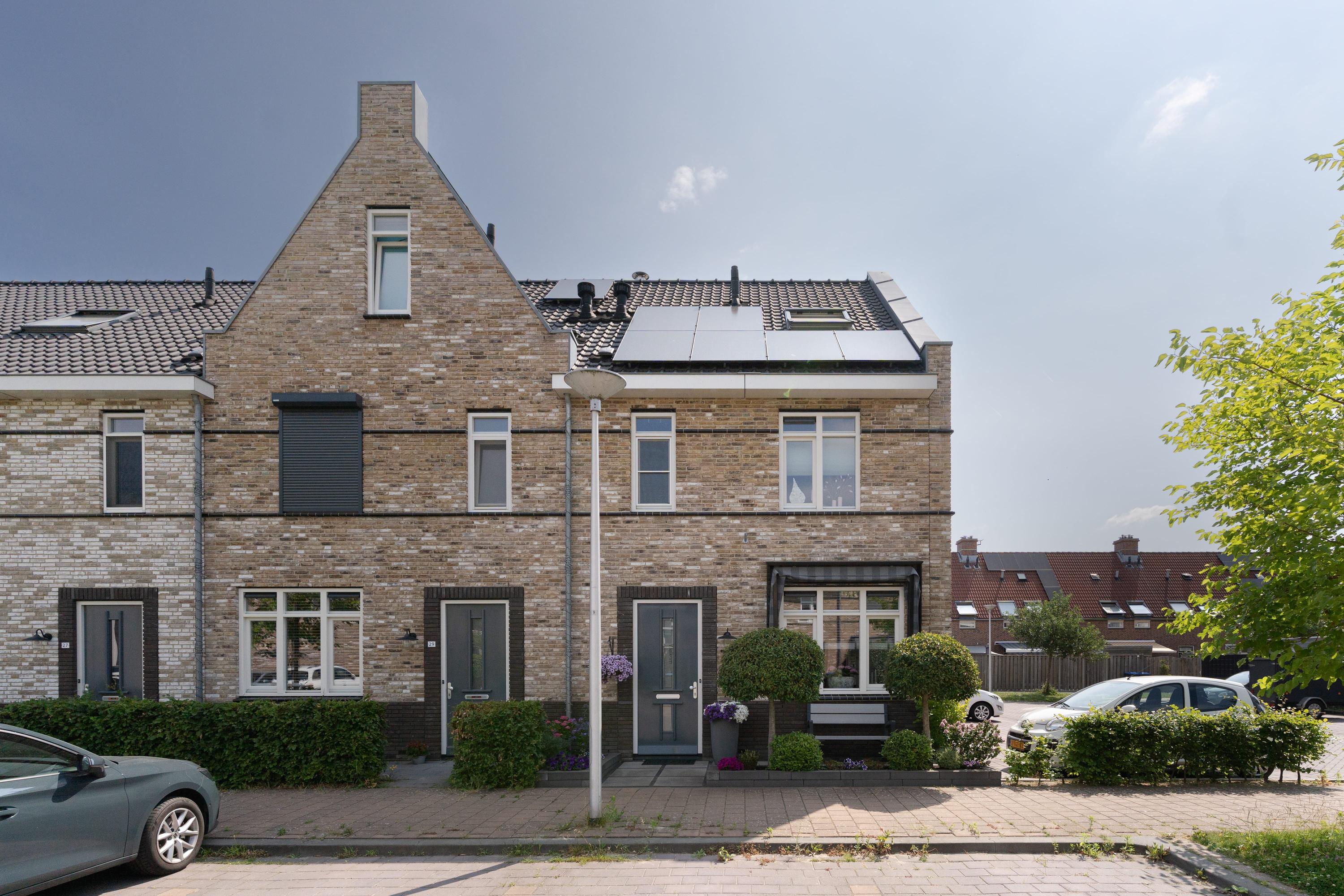 Aalscholver 31