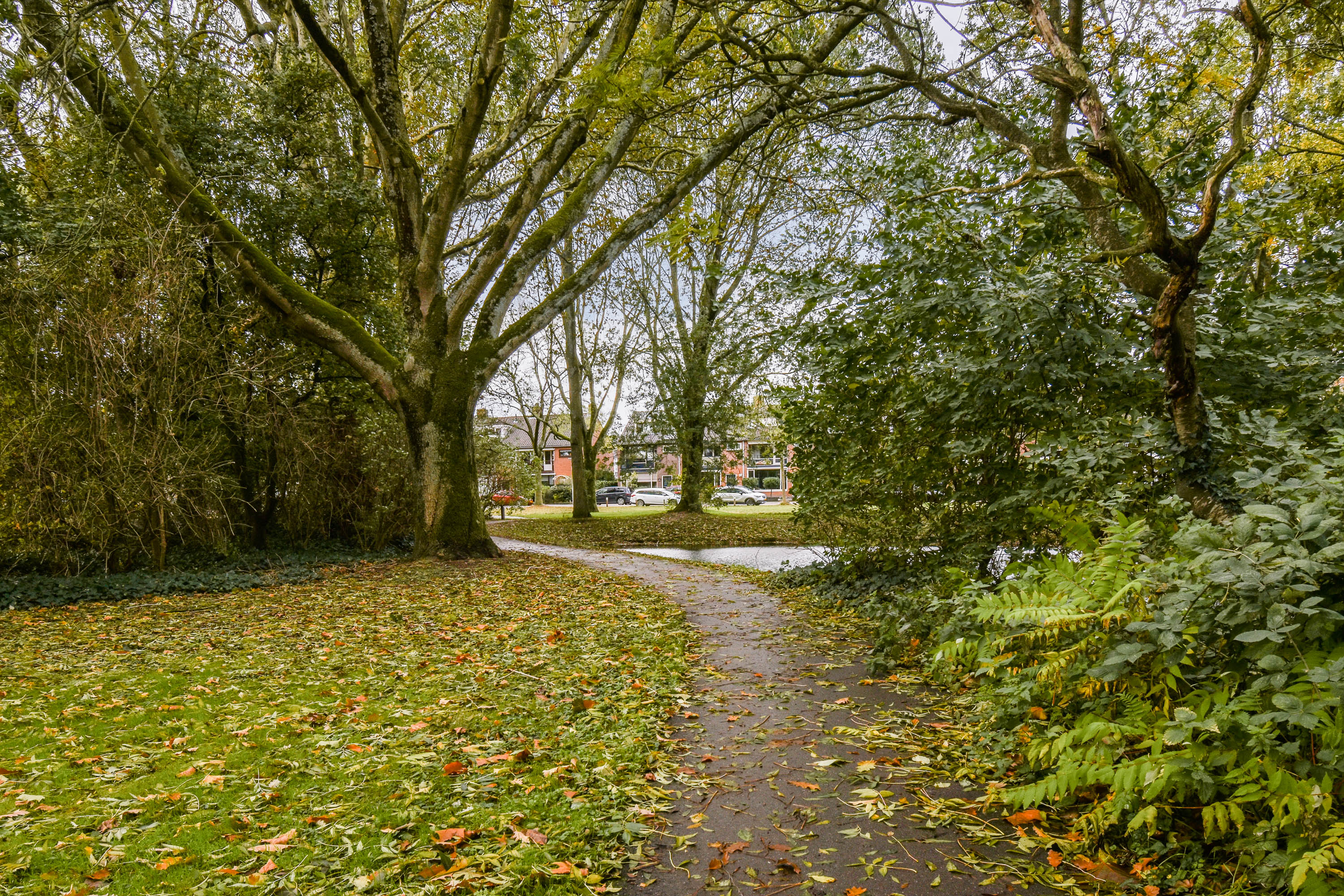 Tesselschadestraat 14