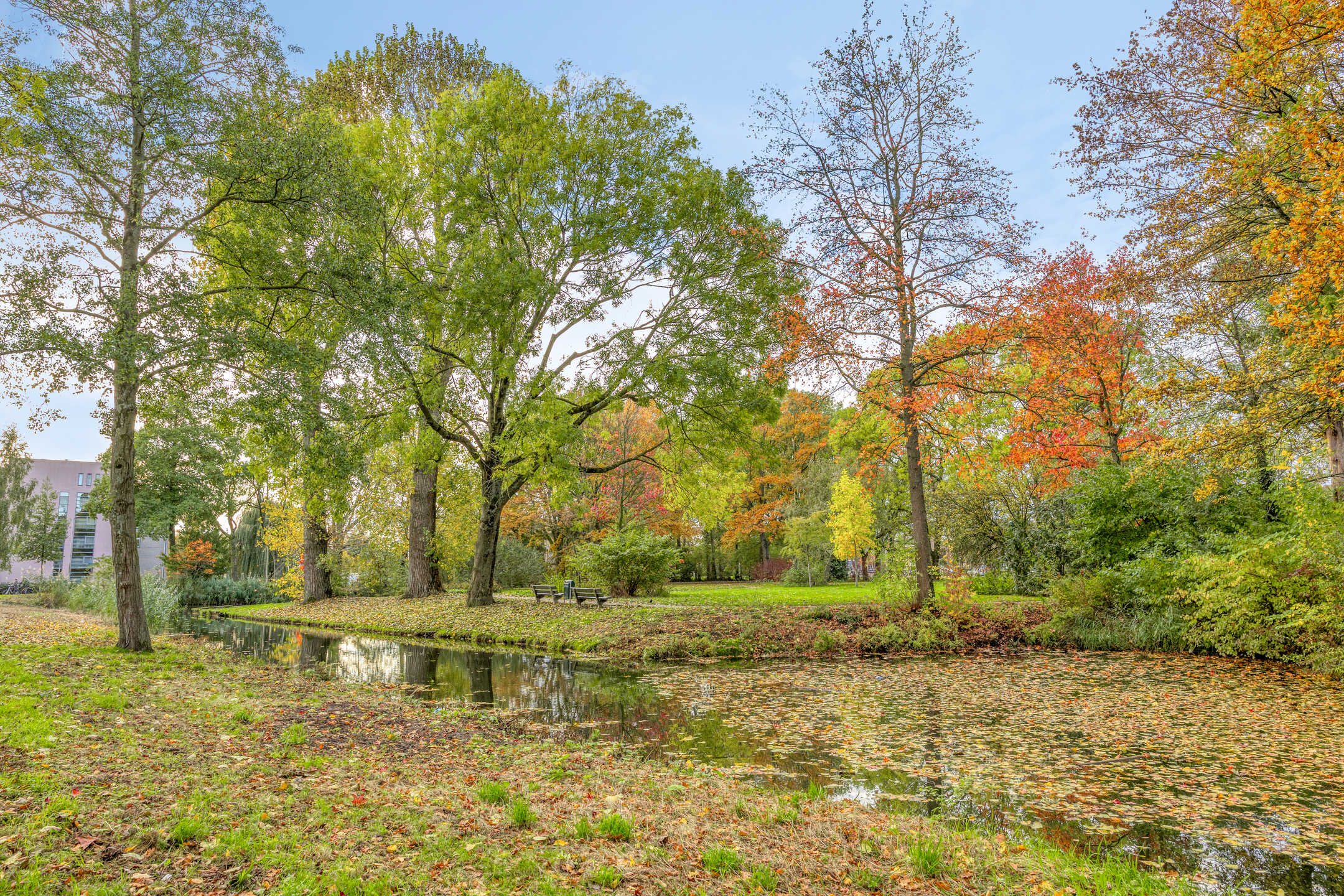 van Godewijckstraat 249