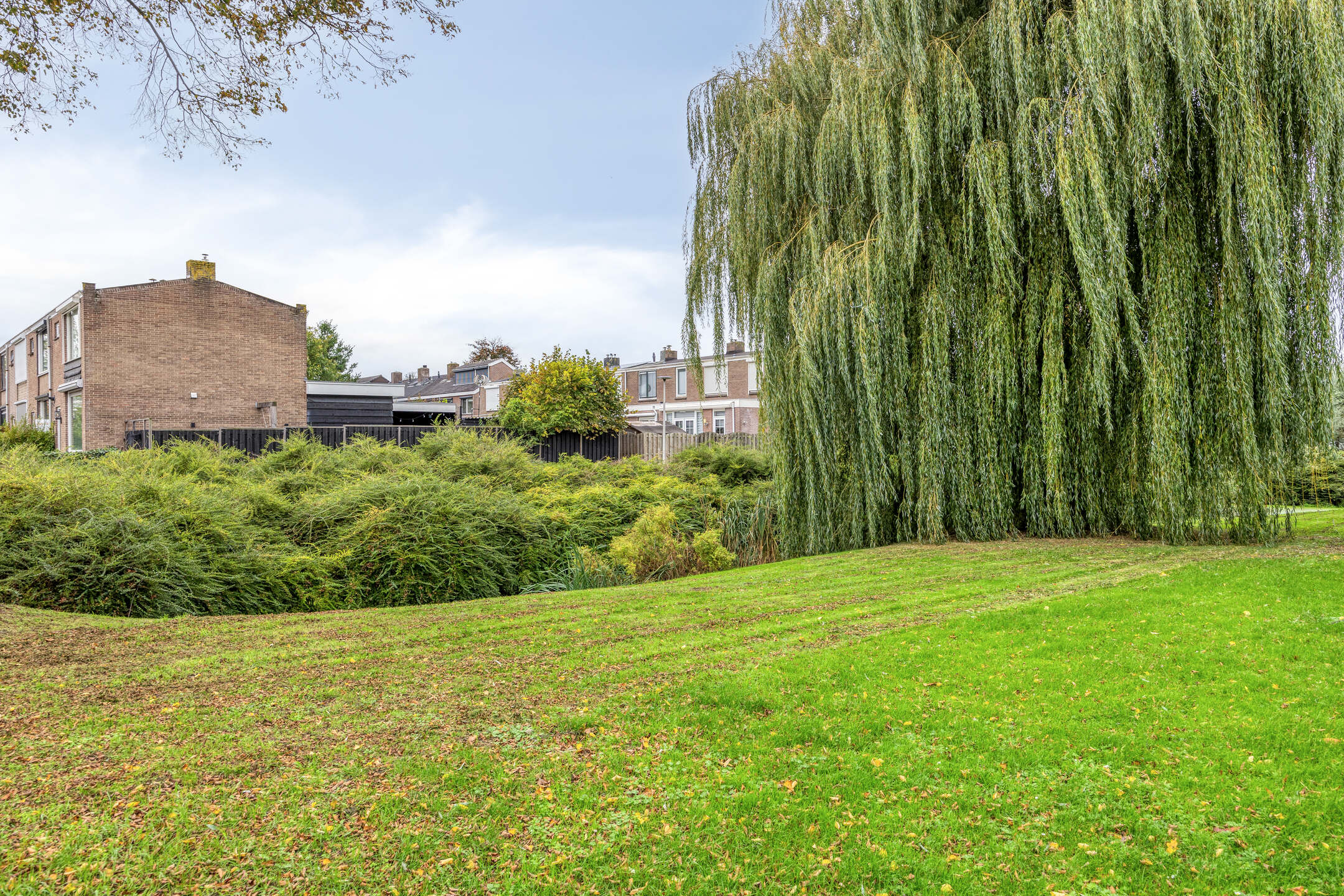 Graaf Willemlaan 100