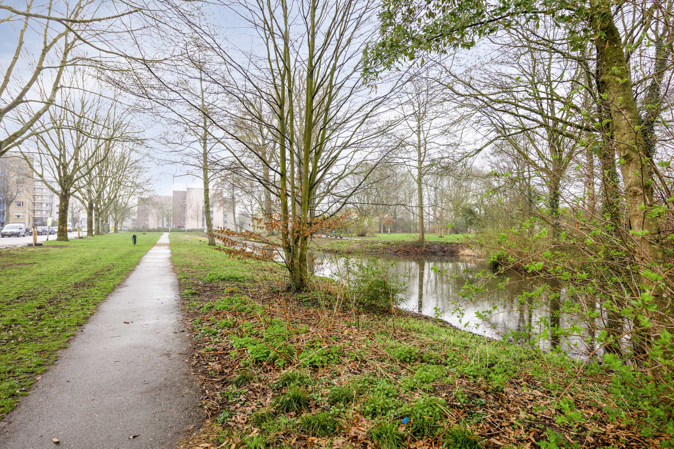 van Godewijckstraat 71