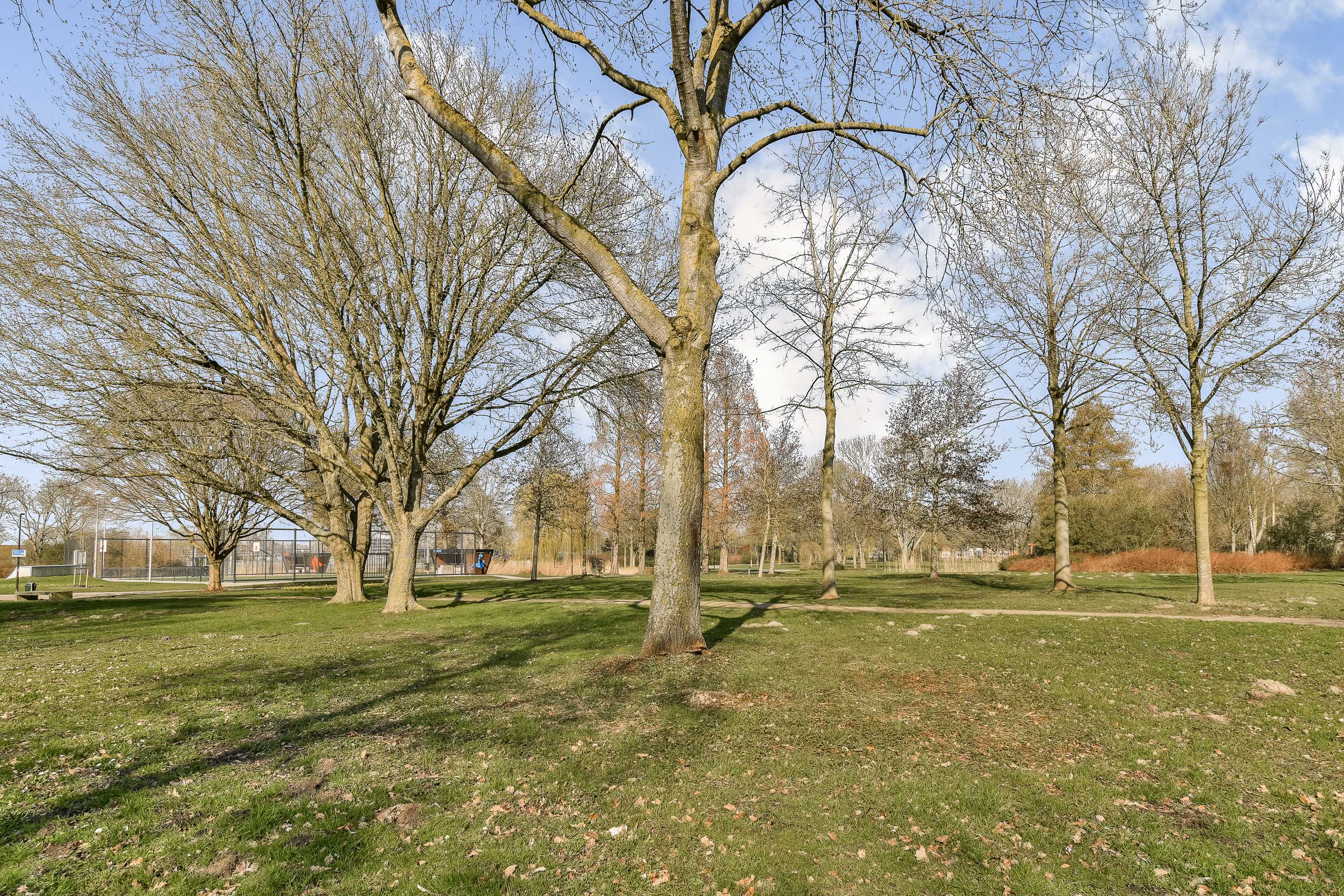 Jan P. Vethstraat 64