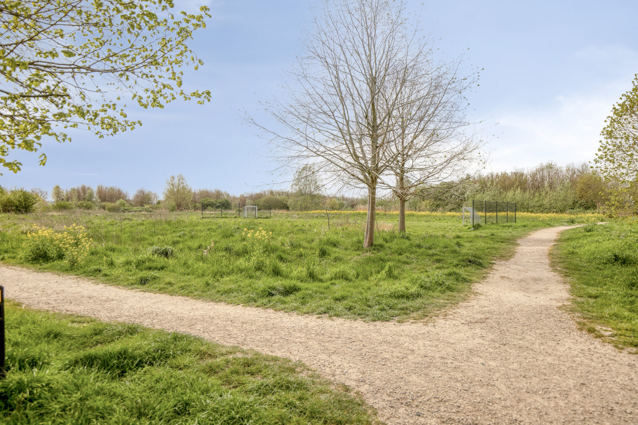 Ds. Allendorpstraat 45