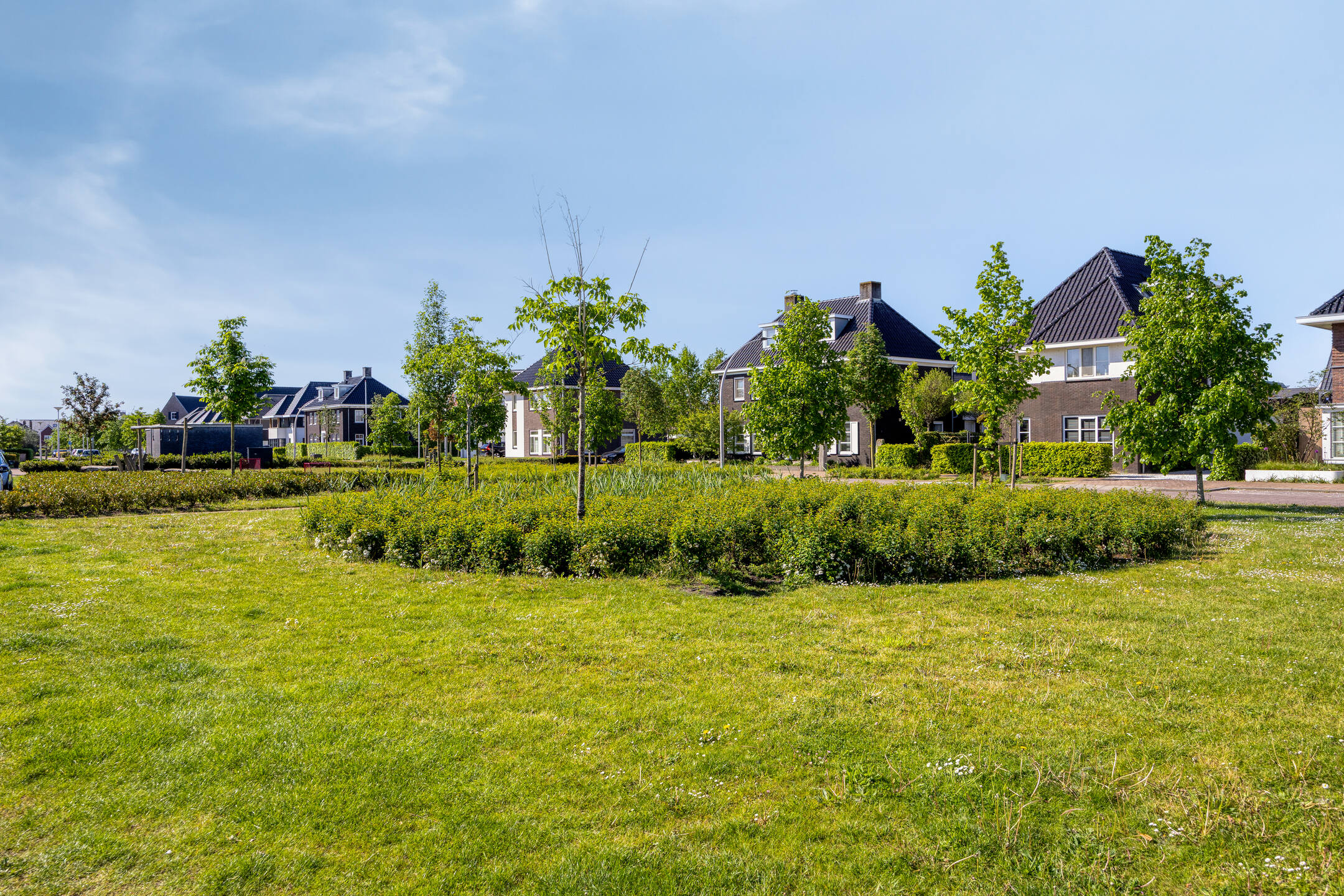 Zomertaling 7