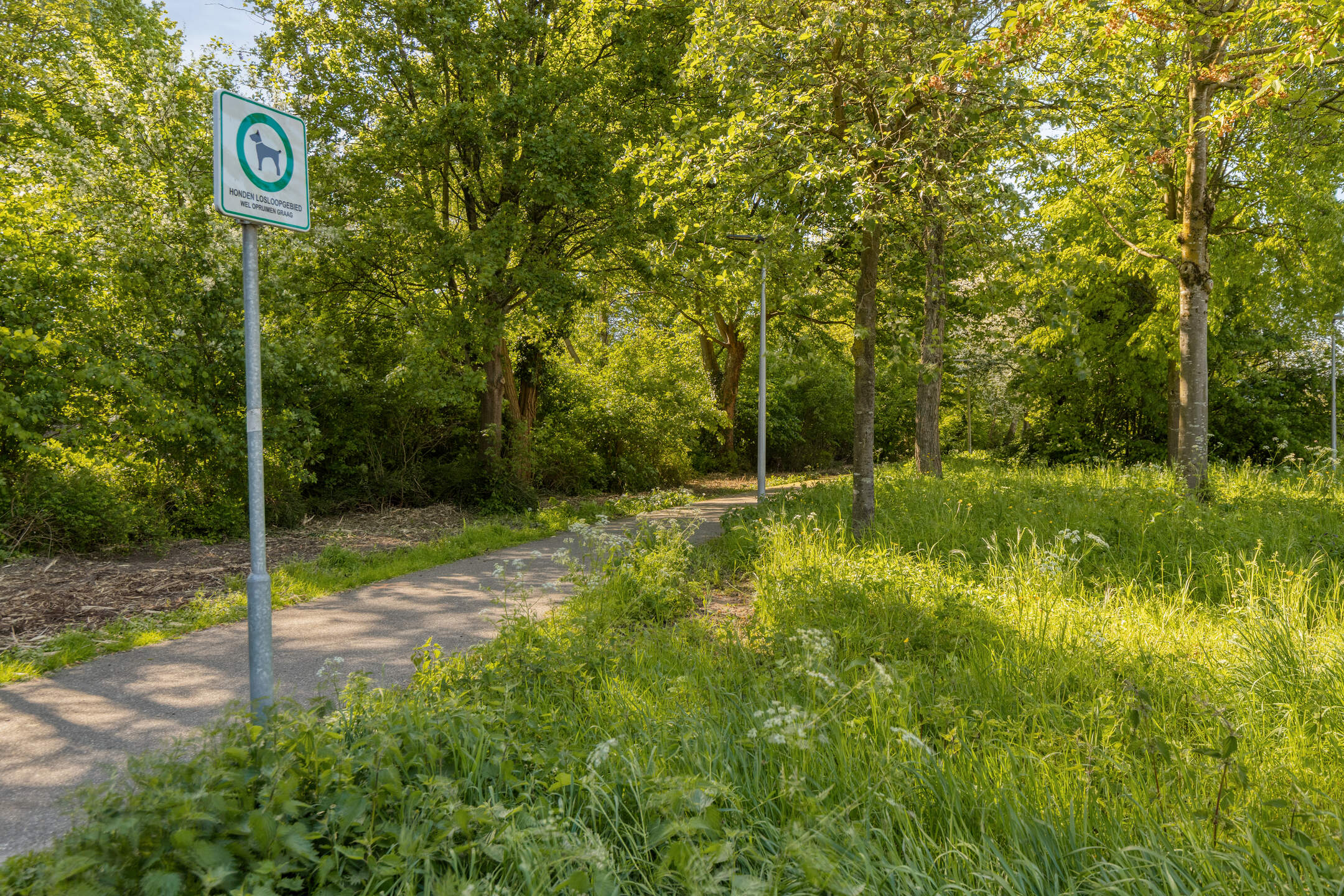 Hoekkamp 8