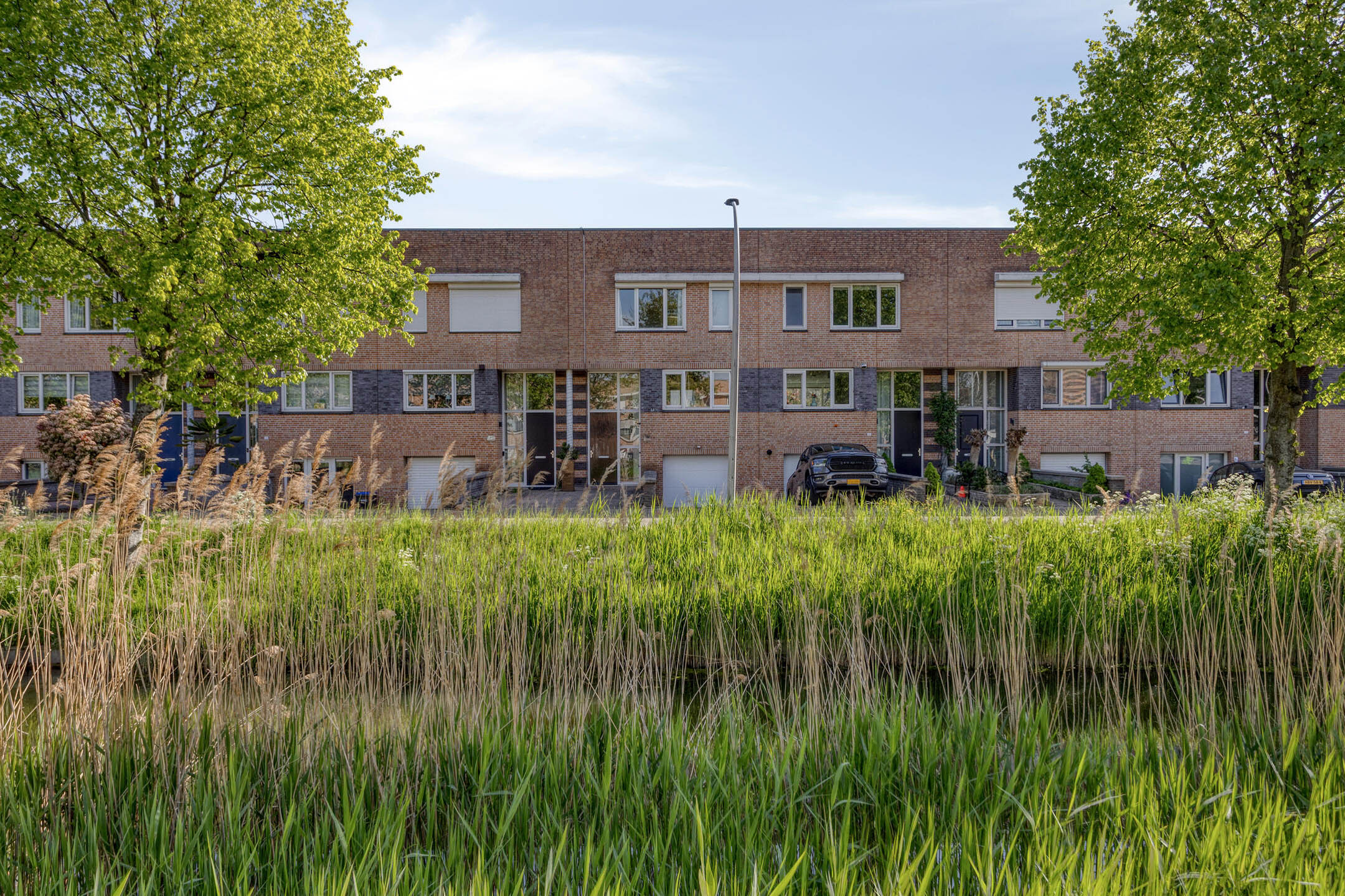 Koningsvaren 10