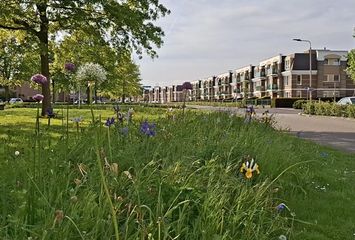 Geertruid Pijnsenhof 13, HENDRIK-IDO-AMBACHT