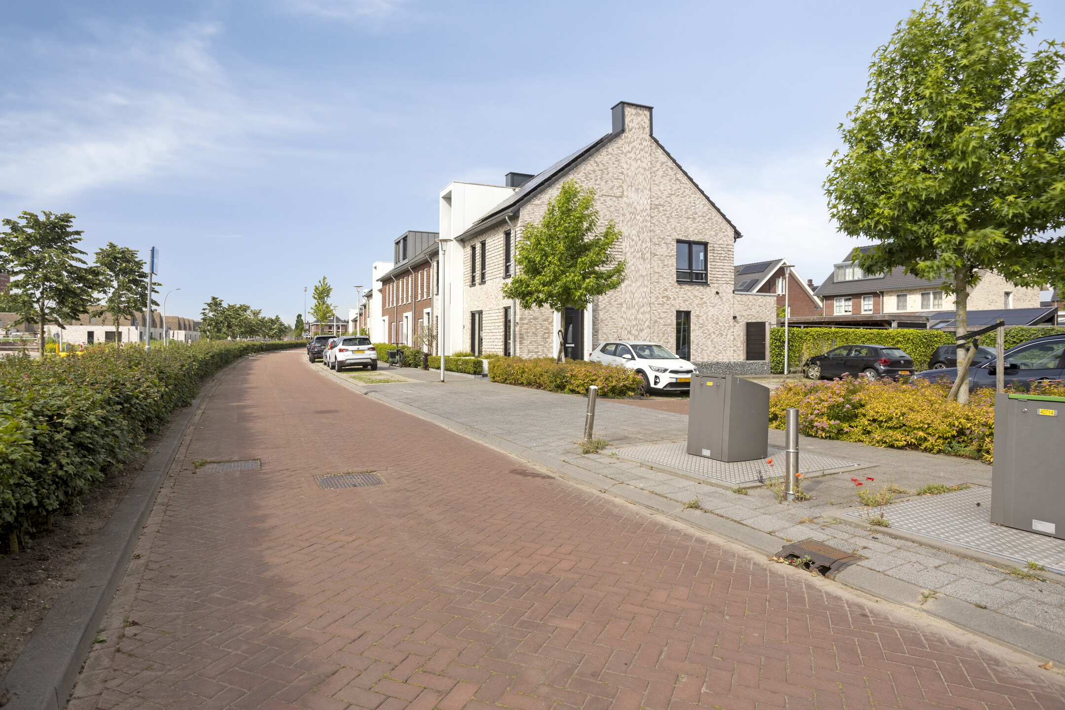Sikkel 29