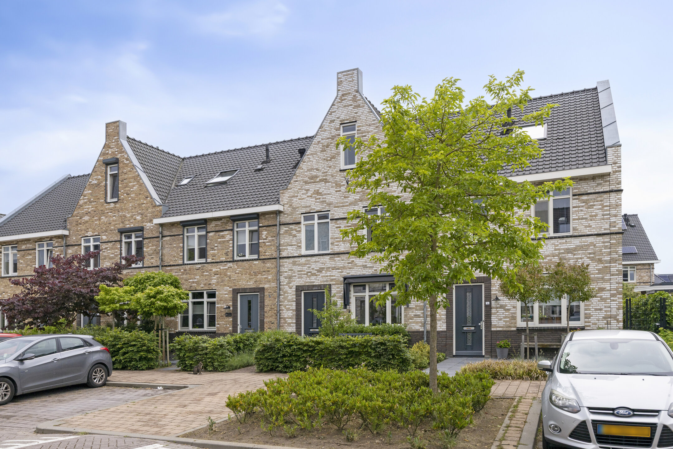Aalscholver 18
